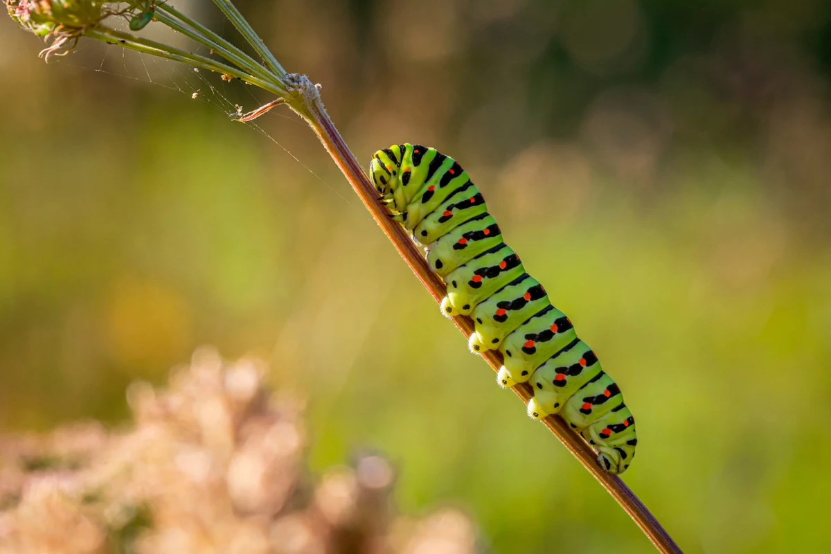 Transformation braucht Zeit